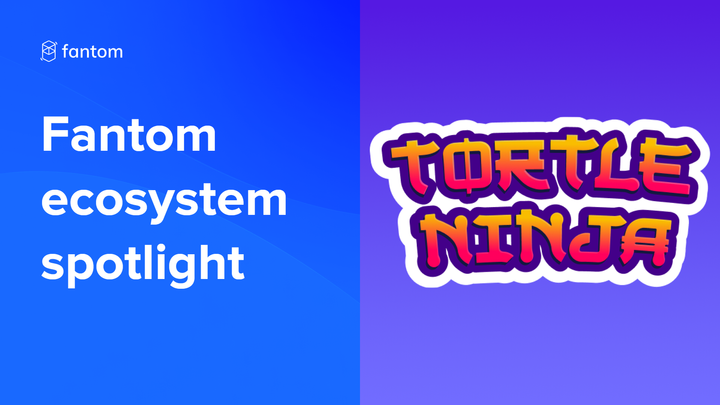 Fantom Ecosystem Spotlight – Tortle Ninja